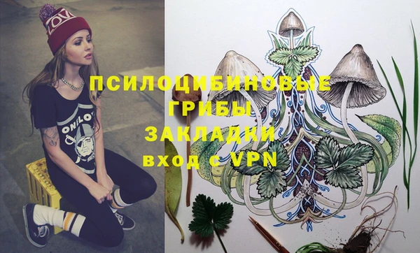 ГАЛЛЮЦИНОГЕННЫЕ ГРИБЫ Снежинск