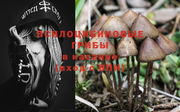 МДПВ Алексин