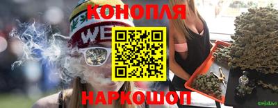 spice Норильск