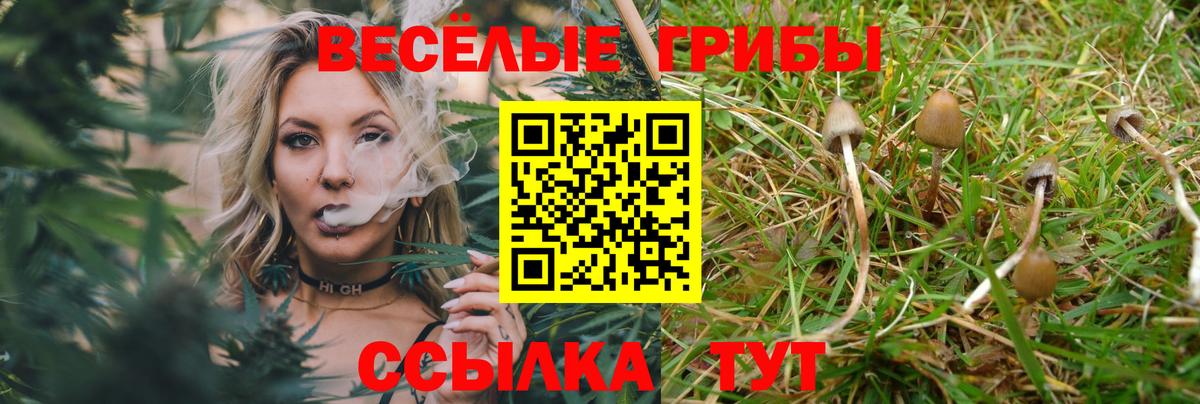 Беслан  Галлюциногенные грибы GOLDEN TEACHER  Галлюциногенные грибы прущие грибы  Вход с VPN 