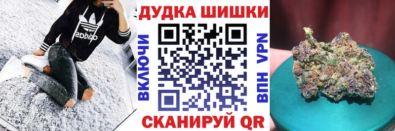 как найти закладки  Беслан  Каннабис сатива 